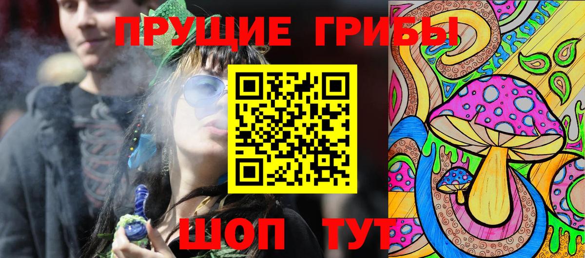 Арзамас  купить  цена  Вход с VPN  Псилоцибиновые грибы прущие грибы 