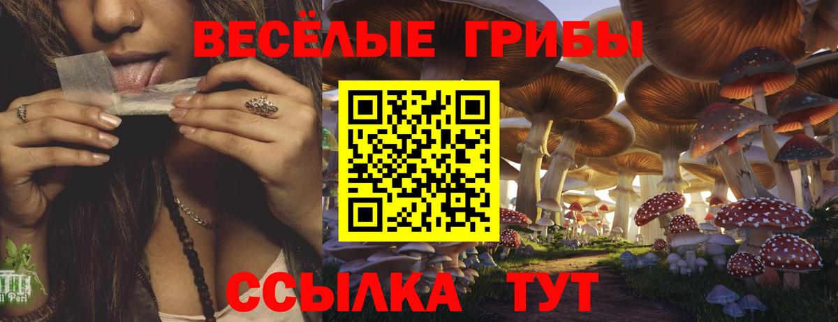 Псилоцибиновые грибы ЛСД Арзамас